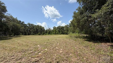 Nestled on 2.35-acre parcel just 5 minutes from Hernando Beach - photo 18