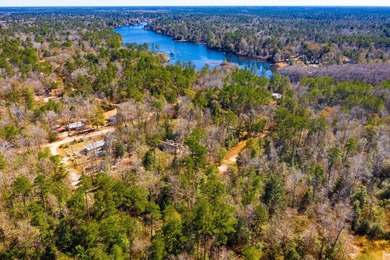 This 0.70-acre double lake district lot in Ivanhoe, Tyler County - photo 18
