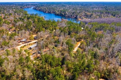 This 0.70-acre double lake district lot in Ivanhoe, Tyler County - photo 19