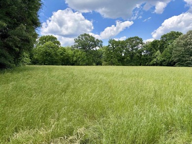 This exceptional multi-use farm with Petit Jean River frontage - photo 20