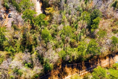 This 0.70-acre double lake district lot in Ivanhoe, Tyler County - photo 20