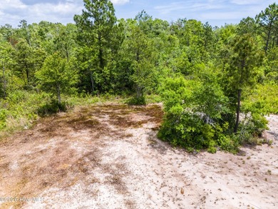 Nestled in the heart of coastal North Carolina, this rare nearly - photo 21