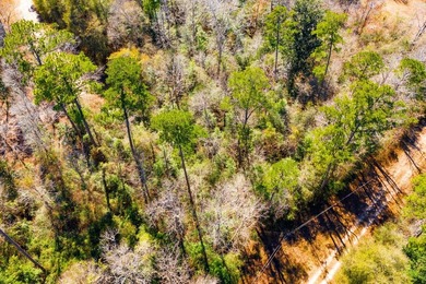 This 0.70-acre double lake district lot in Ivanhoe, Tyler County - photo 21