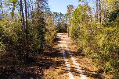 This 0.70-acre double lake district lot in Ivanhoe, Tyler County - photo 22