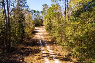 This 0.70-acre double lake district lot in Ivanhoe, Tyler County - photo 23