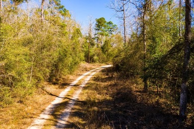 This 0.70-acre double lake district lot in Ivanhoe, Tyler County - photo 24