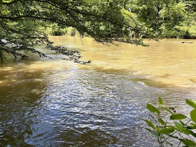 This exceptional multi-use farm with Petit Jean River frontage - photo 25