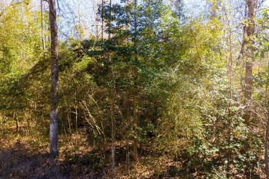 This 0.70-acre double lake district lot in Ivanhoe, Tyler County - photo 25