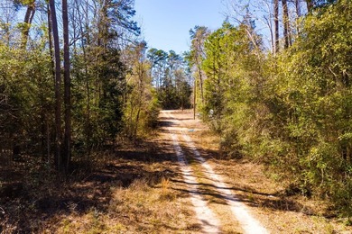 This 0.70-acre double lake district lot in Ivanhoe, Tyler County - photo 26