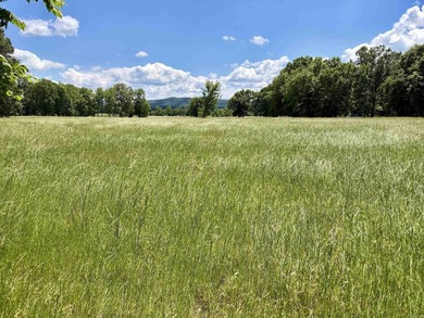 This exceptional multi-use farm with Petit Jean River frontage - photo 27
