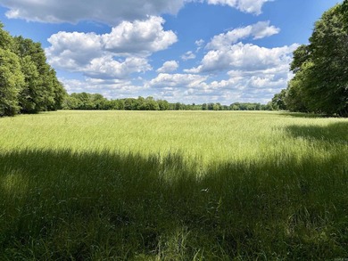 This exceptional multi-use farm with Petit Jean River frontage - photo 29