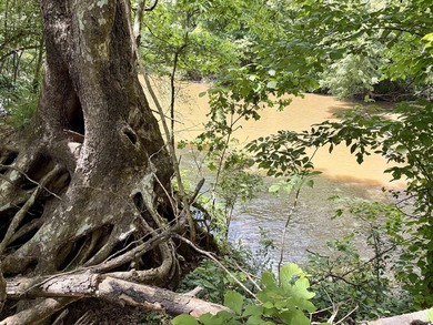 This exceptional multi-use farm with Petit Jean River frontage - photo 30