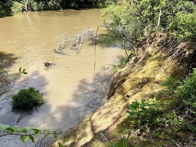 This exceptional multi-use farm with Petit Jean River frontage - photo 33