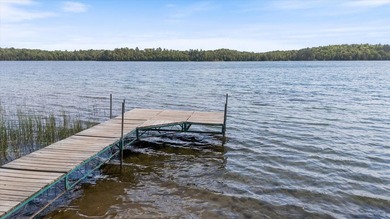 Opportunity on Bluewater Lake. The buildings are for sale and - photo 33