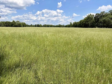 This exceptional multi-use farm with Petit Jean River frontage - photo 35