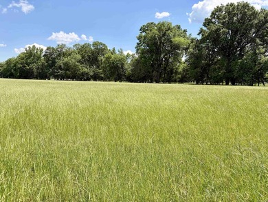 This exceptional multi-use farm with Petit Jean River frontage - photo 36
