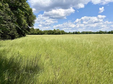 This exceptional multi-use farm with Petit Jean River frontage - photo 37