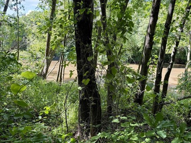 This exceptional multi-use farm with Petit Jean River frontage - photo 39