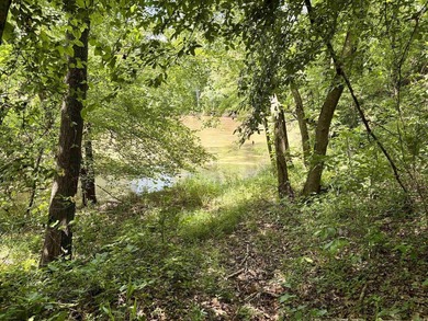 This exceptional multi-use farm with Petit Jean River frontage - photo 40