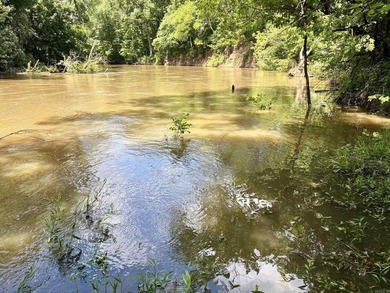This exceptional multi-use farm with Petit Jean River frontage - photo 41