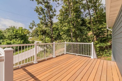 Brand new build in beautiful Cape Fair! This modern home - photo 45