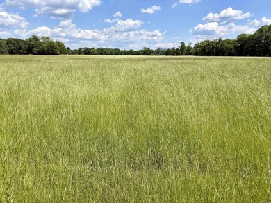 This exceptional multi-use farm with Petit Jean River frontage - photo 47