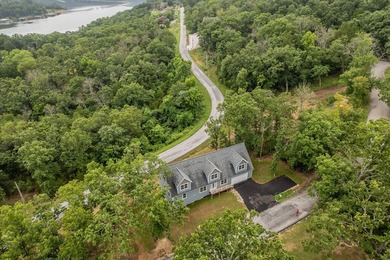 Brand new build in beautiful Cape Fair! This modern home - photo 48