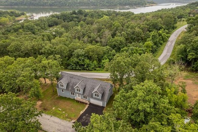 Brand new build in beautiful Cape Fair! This modern home - photo 49