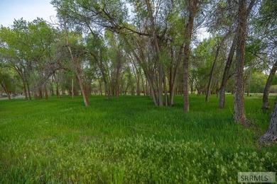 Exclusive Luxury Homesite Opportunity - Design-Controlled Build - photo 5