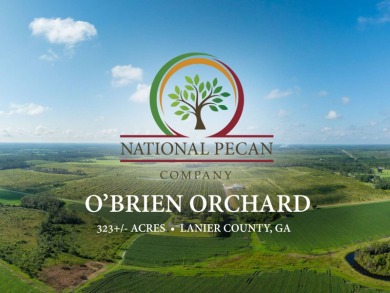Lake Acreage For Sale in Naylor, Georgia