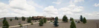 Choosing this luxurious new construction home means more than - photo 2