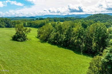 Lake Acreage For Sale in Bristol, Tennessee