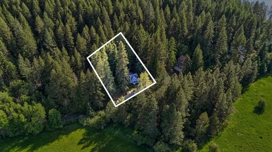 Charming bungalow tucked away on a secondary lot on Newman Lake - photo 34
