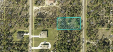 Lehigh Acres Area Lot For Sale in Lehigh Acres Florida