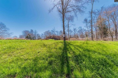 Lake Lot For Sale in Prosperity, South Carolina