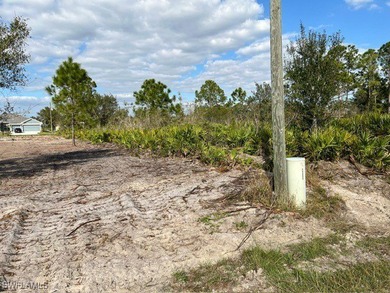 Lehigh Acres Area Lot For Sale in Lehigh Acres Florida