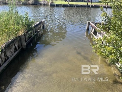 Water Water! WATERFRONT LOT FIND IN THE HEART OF GULF SHORES - photo 1