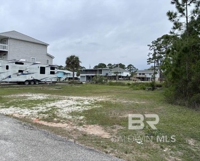 Water Water! WATERFRONT LOT FIND IN THE HEART OF GULF SHORES - photo 3