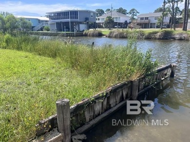 Water Water! WATERFRONT LOT FIND IN THE HEART OF GULF SHORES - photo 4