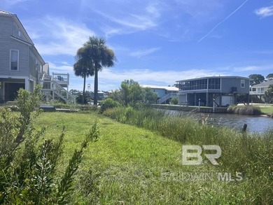 Water Water! WATERFRONT LOT FIND IN THE HEART OF GULF SHORES - photo 6
