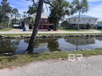 Water Water! WATERFRONT LOT FIND IN THE HEART OF GULF SHORES - photo 7