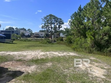 Water Water! WATERFRONT LOT FIND IN THE HEART OF GULF SHORES - photo 8