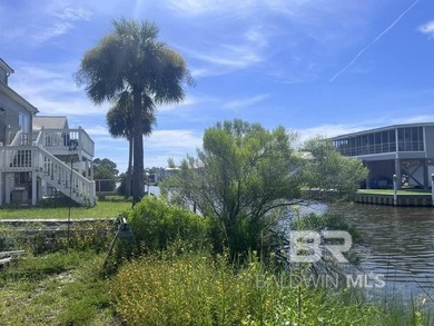 Water Water! WATERFRONT LOT FIND IN THE HEART OF GULF SHORES - photo 10