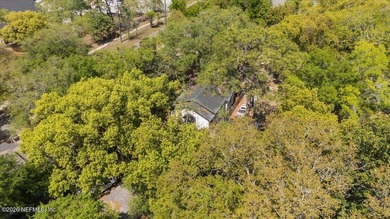 Welcome to Brentwood, a historic neighborhood in Jacksonville's - photo 33