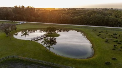 Discover this private, gated 18.1+/- acre estate. Two parcels - photo 35