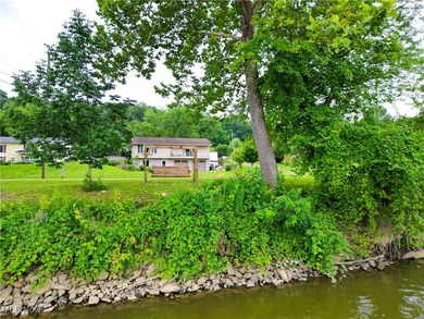 (private lake, pond, creek) Home For Sale in Philo Ohio
