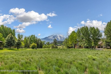 Roaring Fork River Lot For Sale in Carbondale Colorado