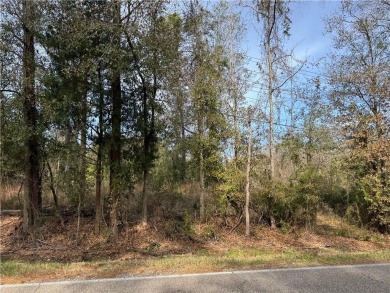 (private lake, pond, creek) Lot For Sale in Pearl River Louisiana