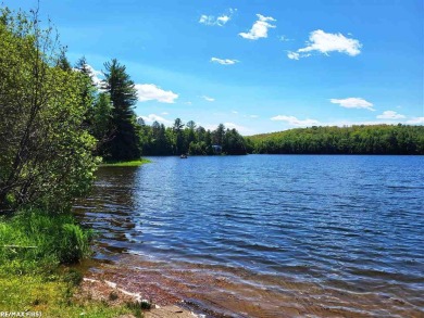 (private lake, pond, creek) Lot For Sale in Skandia Michigan
