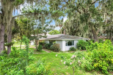 Lake Harris Home For Sale in Yalaha Florida